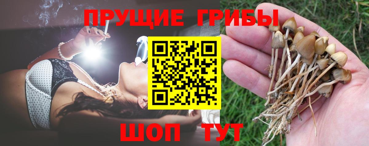 Галлюциногенные грибы Psilocybine cubensis Аша